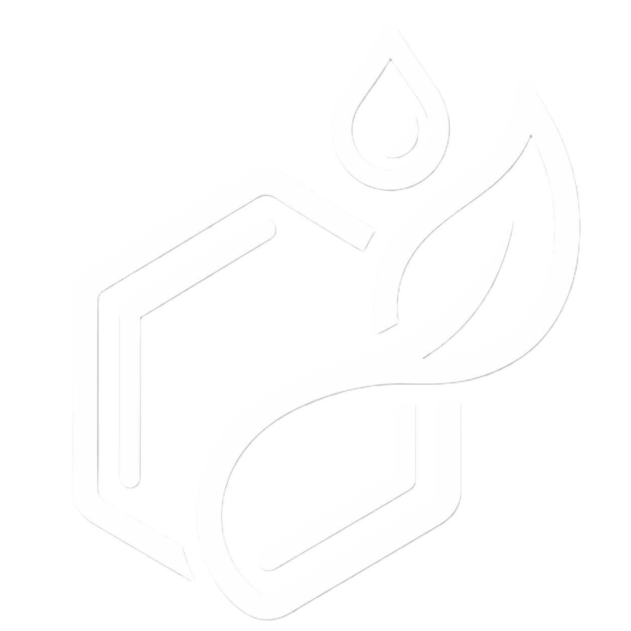 Satvanya Solutions logo